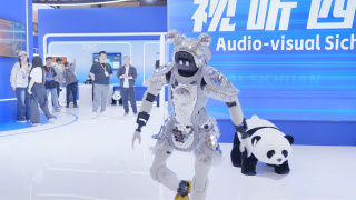 91视频苹果版